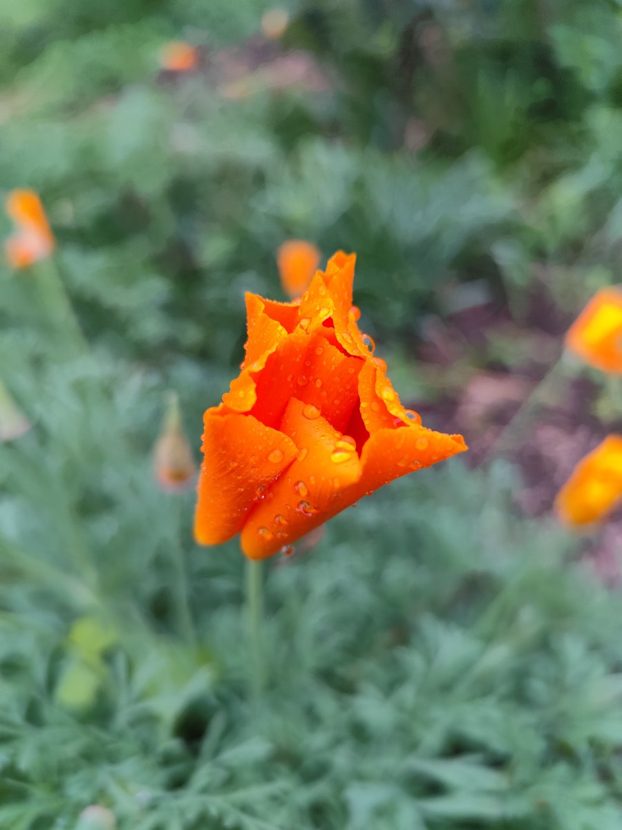 IMG_20251003_181654.jpg