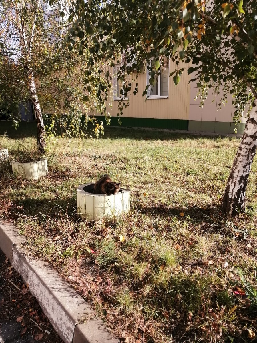 IMG_20251013_092731.jpg