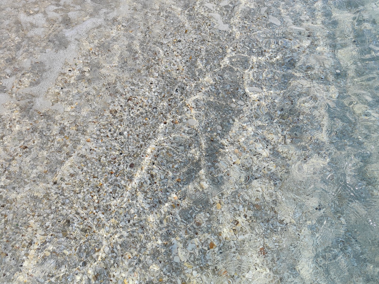 IMG_20251029_150859.jpg IMG_20251029_150859.jpg