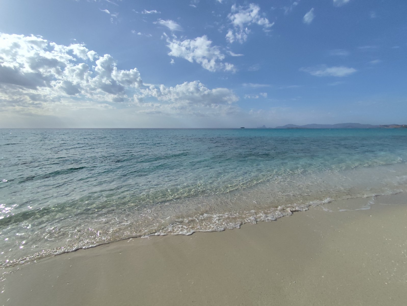 IMG_20251029_151011.jpg IMG_20251029_151011.jpg