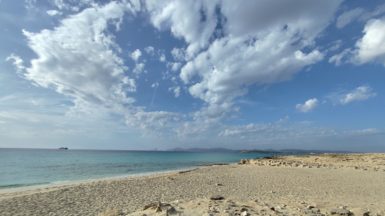 IMG_20251029_152800.jpg IMG_20251029_152800.jpg