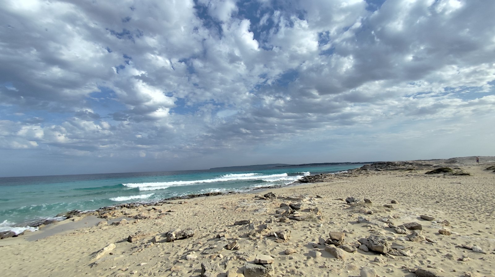 IMG_20251029_152814.jpg IMG_20251029_152814.jpg