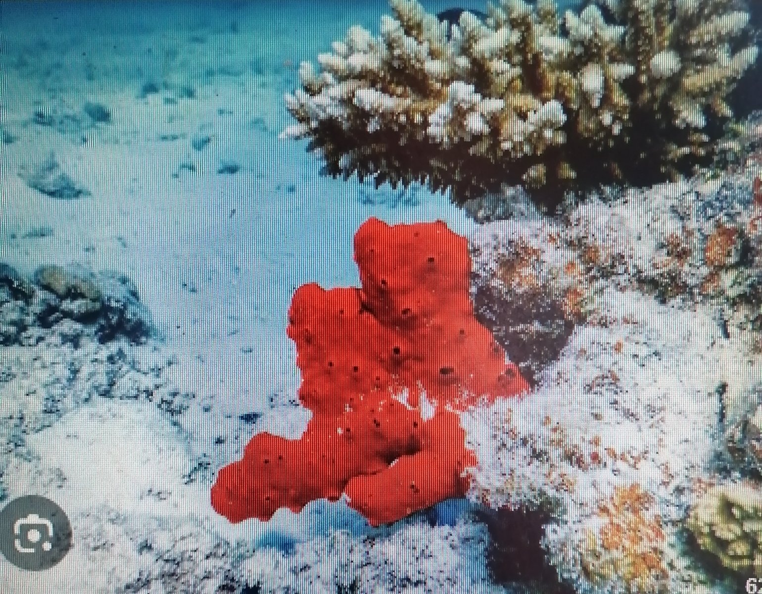 IMG_20260119_135358_edit_449192894964268 (1).jpg