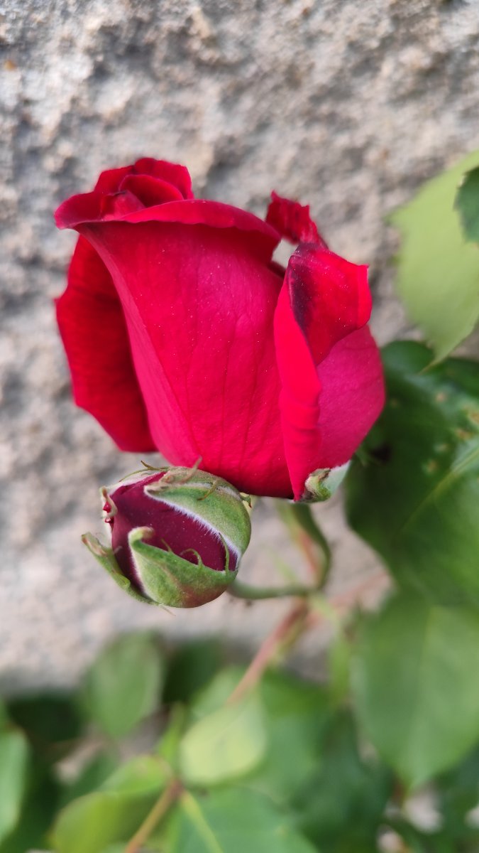 IMG_20260430_203733.jpg