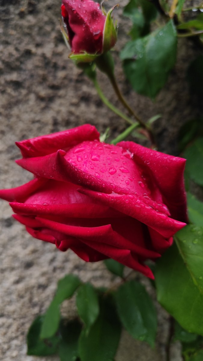 IMG_20260504_142830.jpg