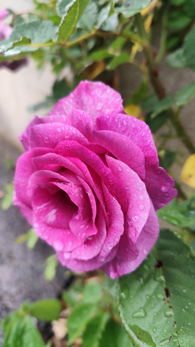 IMG_20260504_143004.jpg
