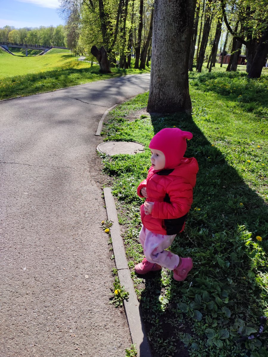 IMG_20260506_151942.jpg