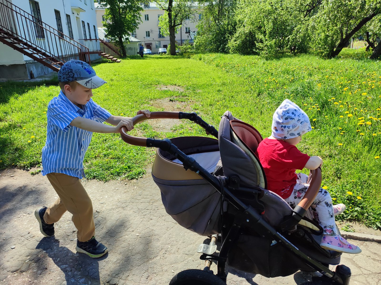 IMG_20260519_144454.jpg