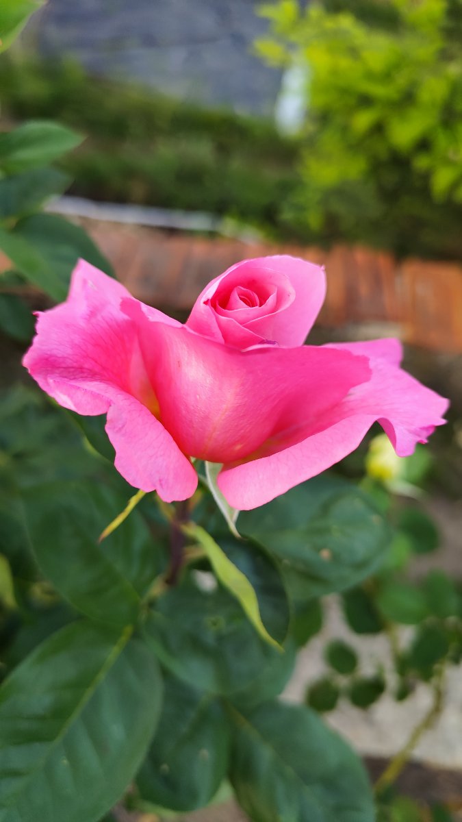 IMG_20260526_202813.jpg
