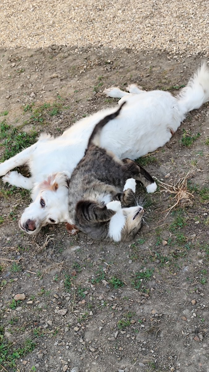 IMG_20260526_203242.jpg