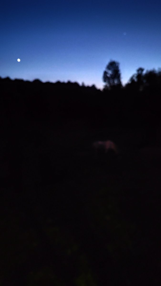IMG_20260526_225555.jpg
