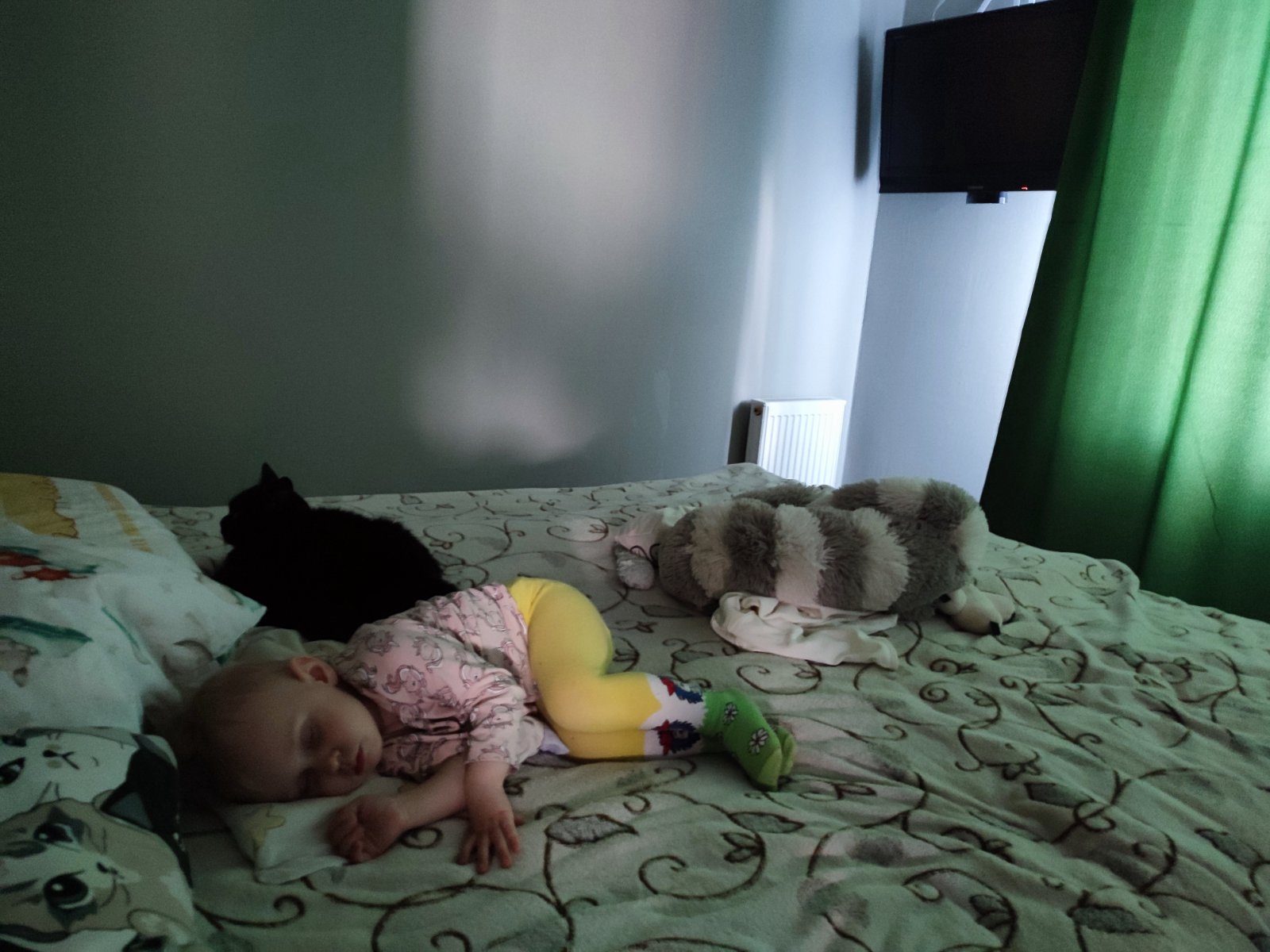 IMG_20260531_190125.jpg