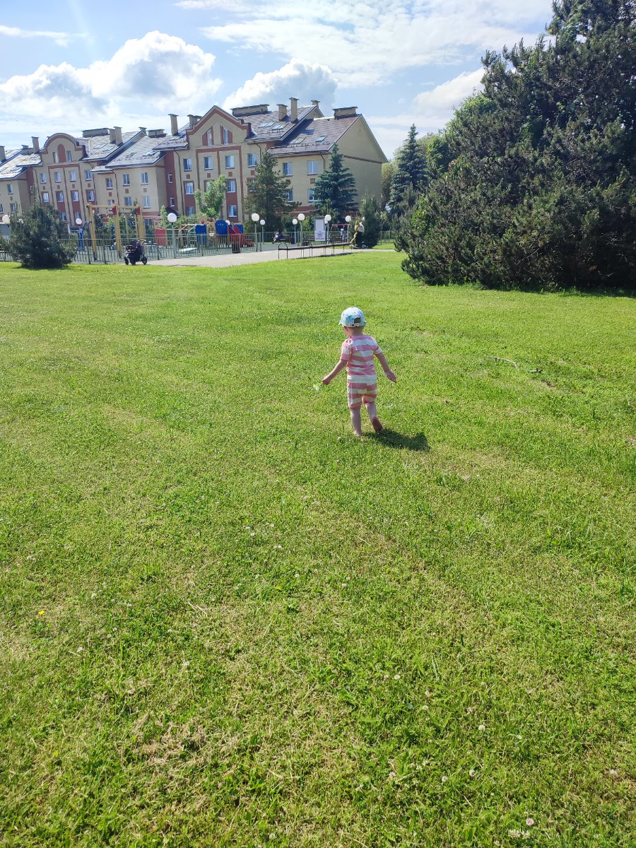 IMG_20260609_140216.jpg