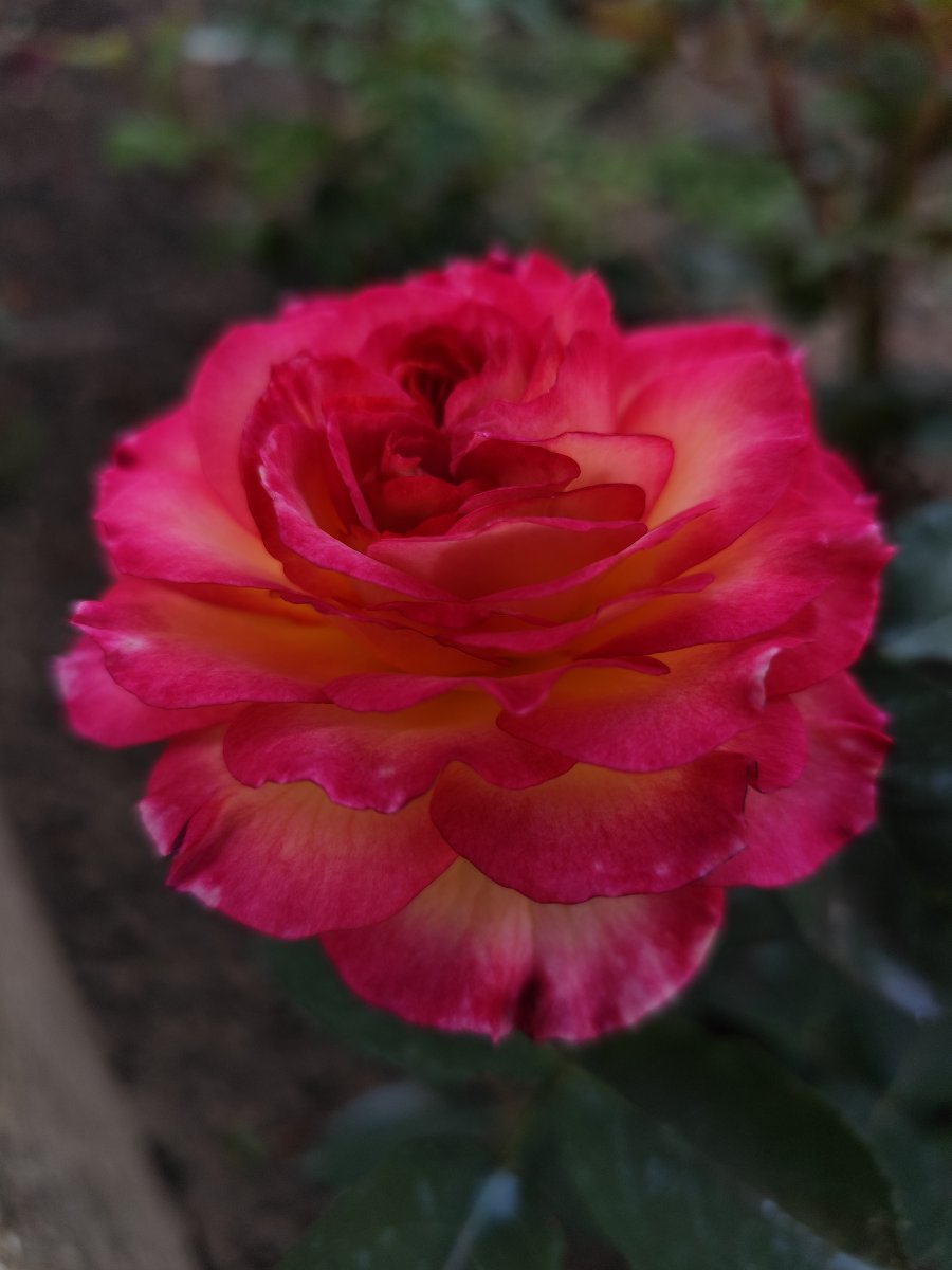 IMG_20260613_184716.jpg