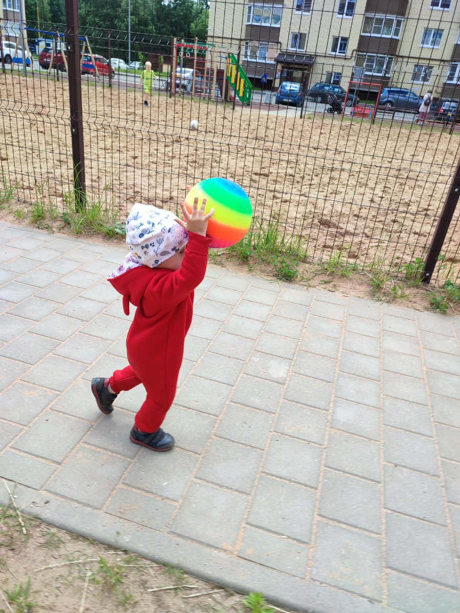 IMG_20260615_121201.jpg