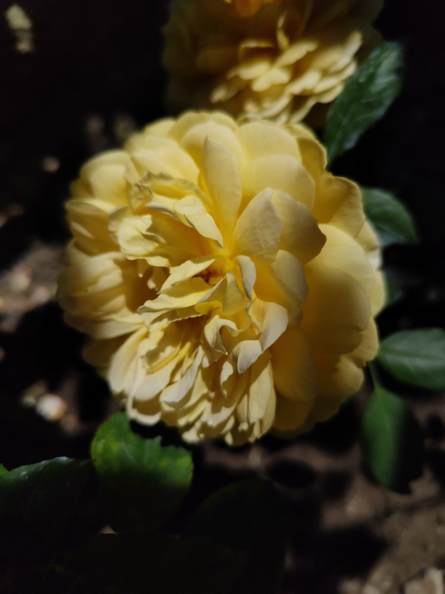 IMG_20260617_125144.jpg