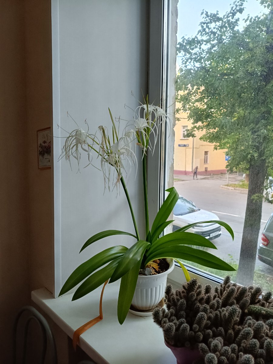 IMG_20260617_195608.jpg