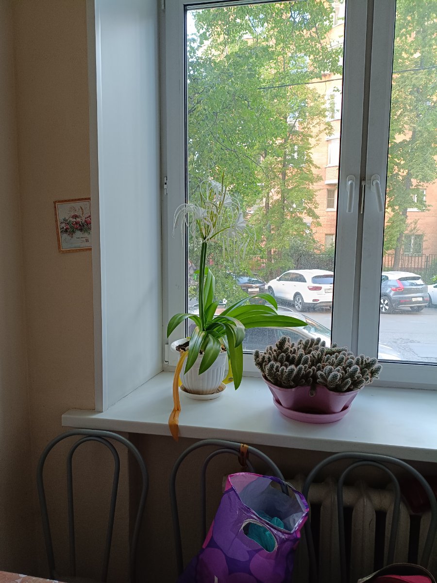 IMG_20260617_195614.jpg