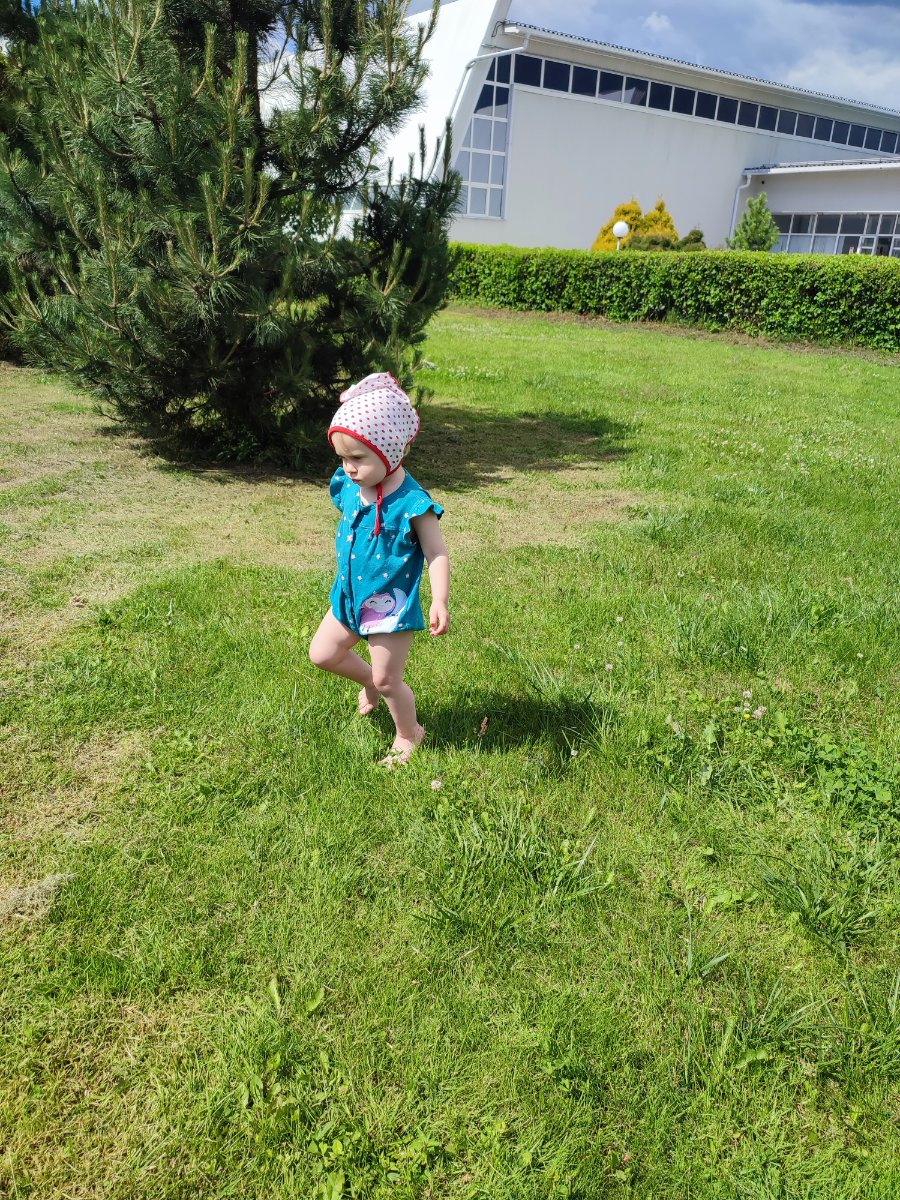 IMG_20260620_134940.jpg