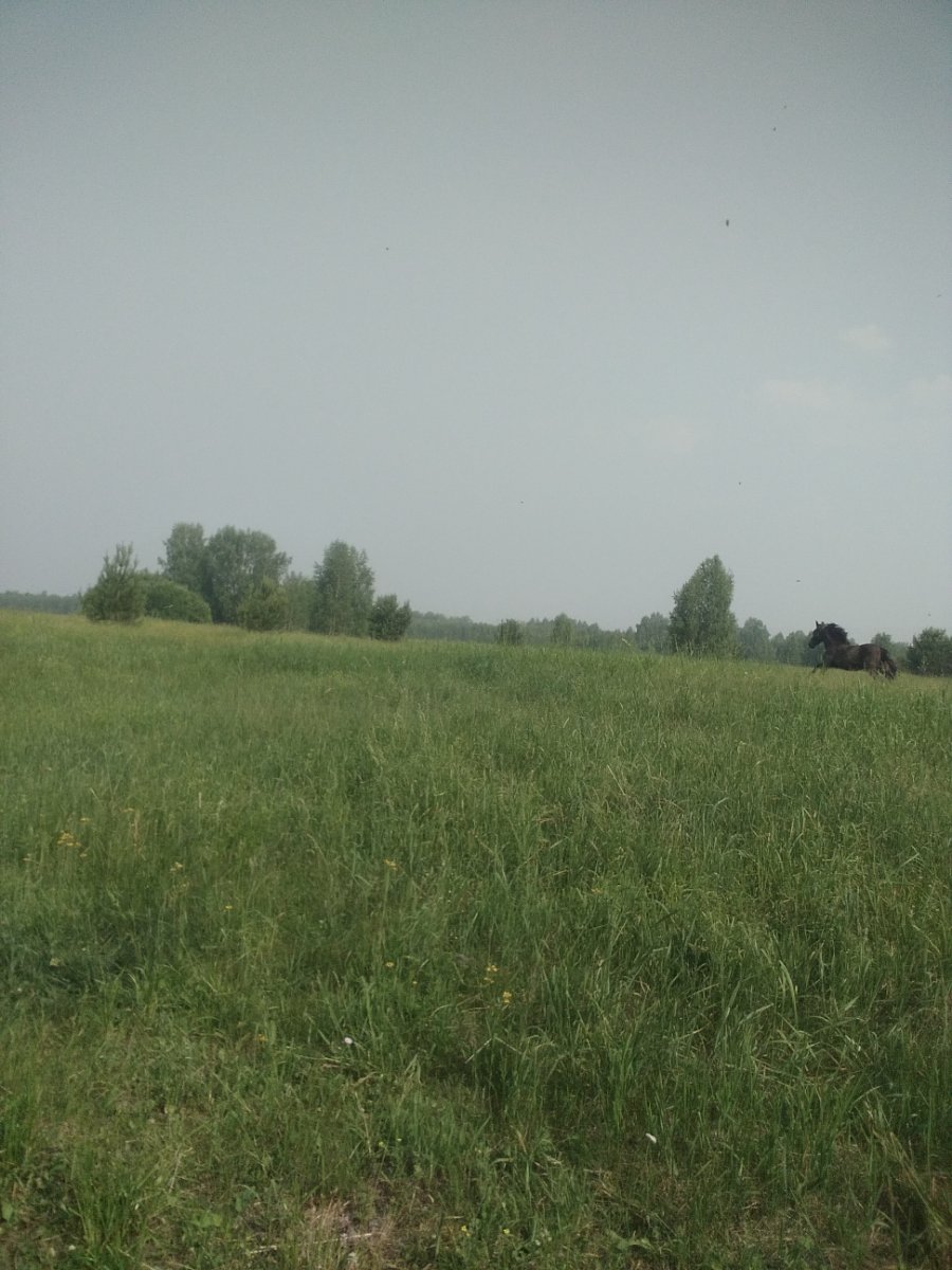 IMG_20260622_161846.jpg