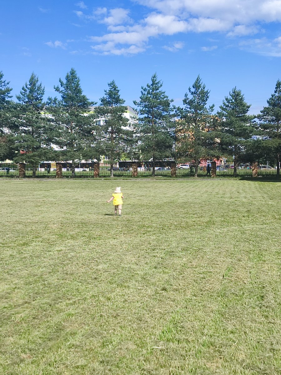 IMG_20260623_161058.jpg