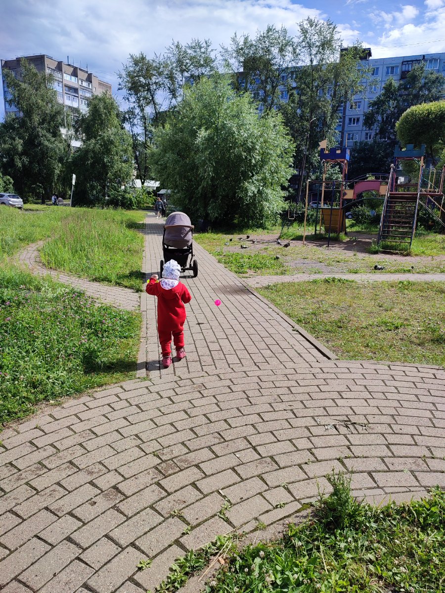 IMG_20260626_151644.jpg