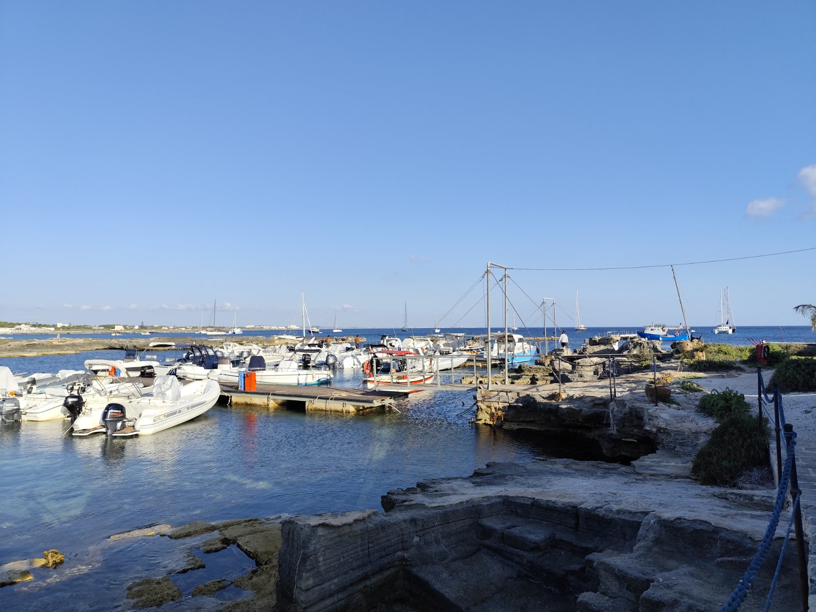 IMG_20260704_185635.jpg
