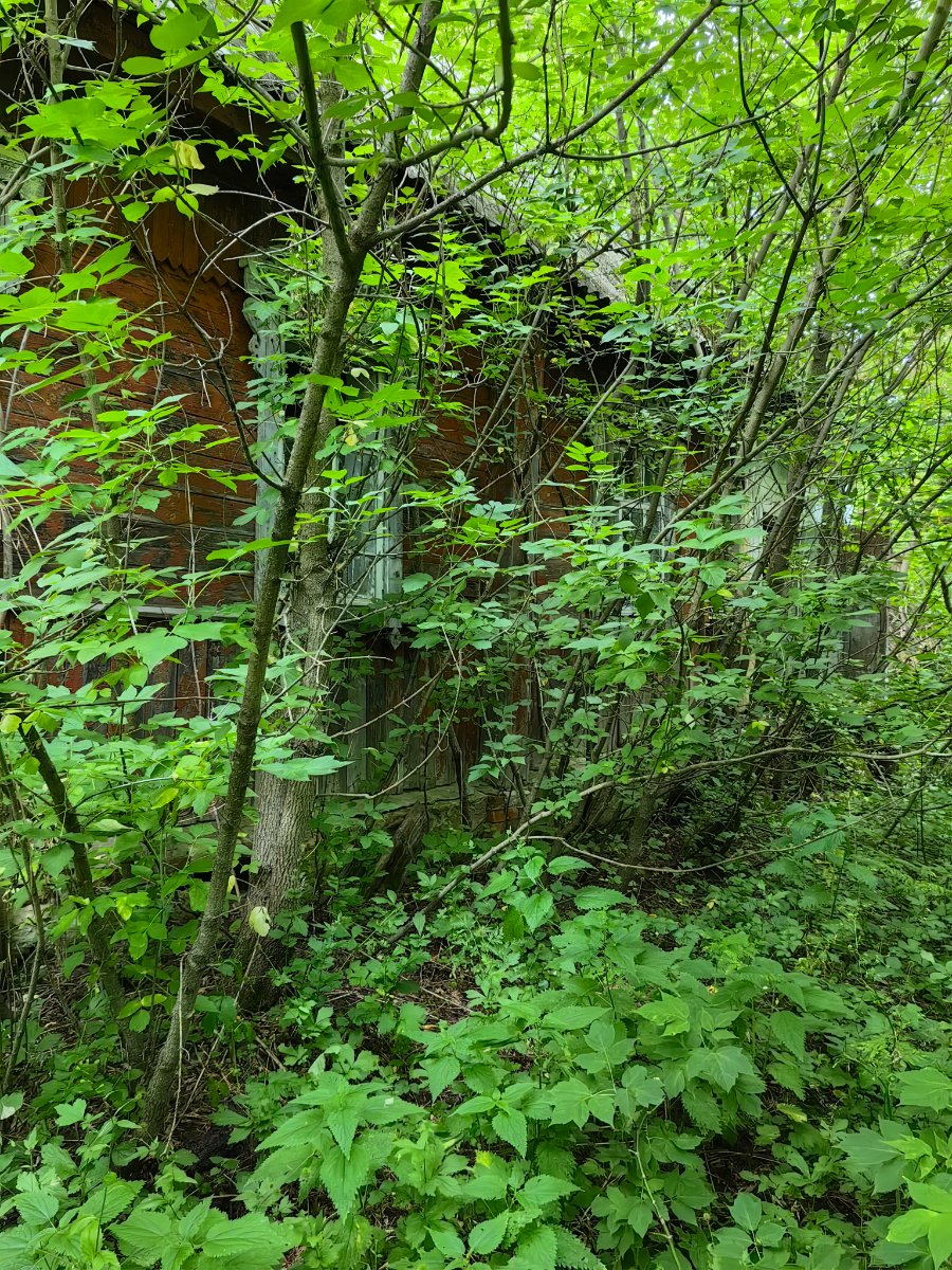 IMG_20260708_131556.jpg