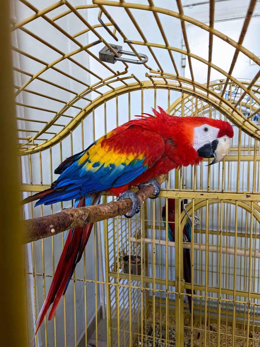 IMG_20260722_154950.jpg