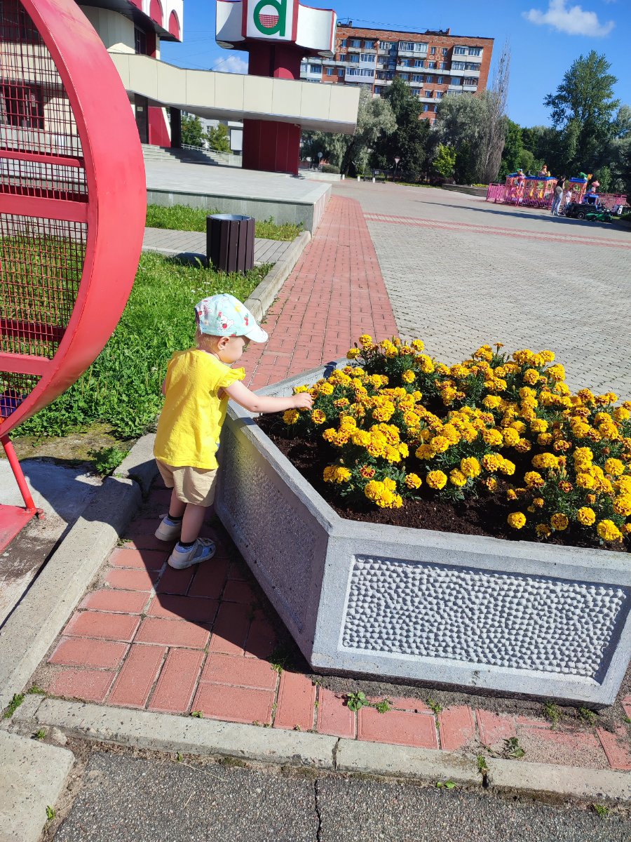 IMG_20260725_101610.jpg