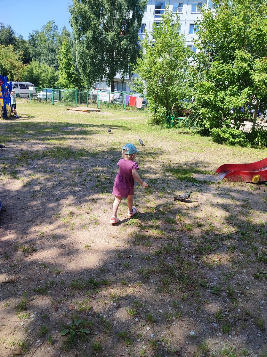 IMG_20260727_123034.jpg