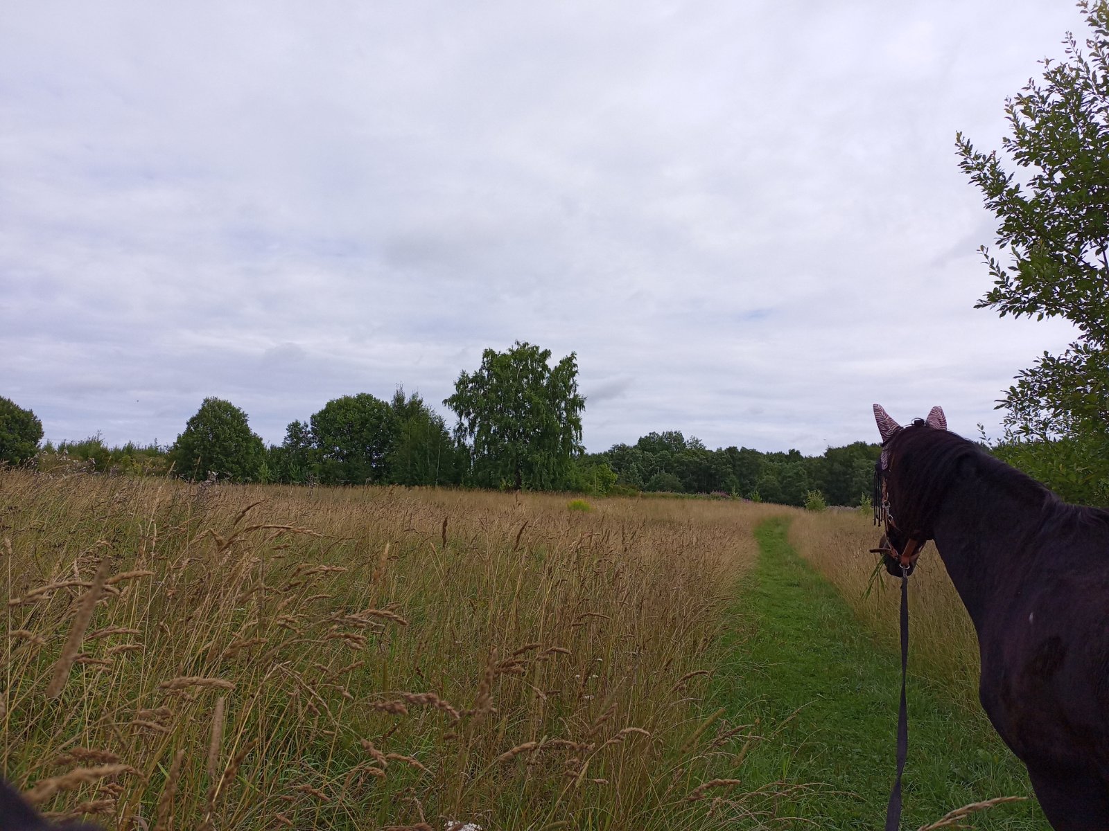 IMG_20260802_120155_812.jpg