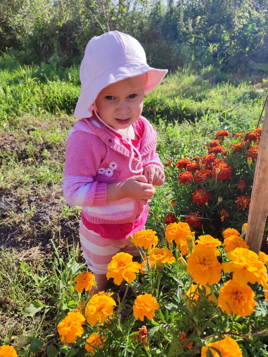 IMG_20260808_171437.jpg