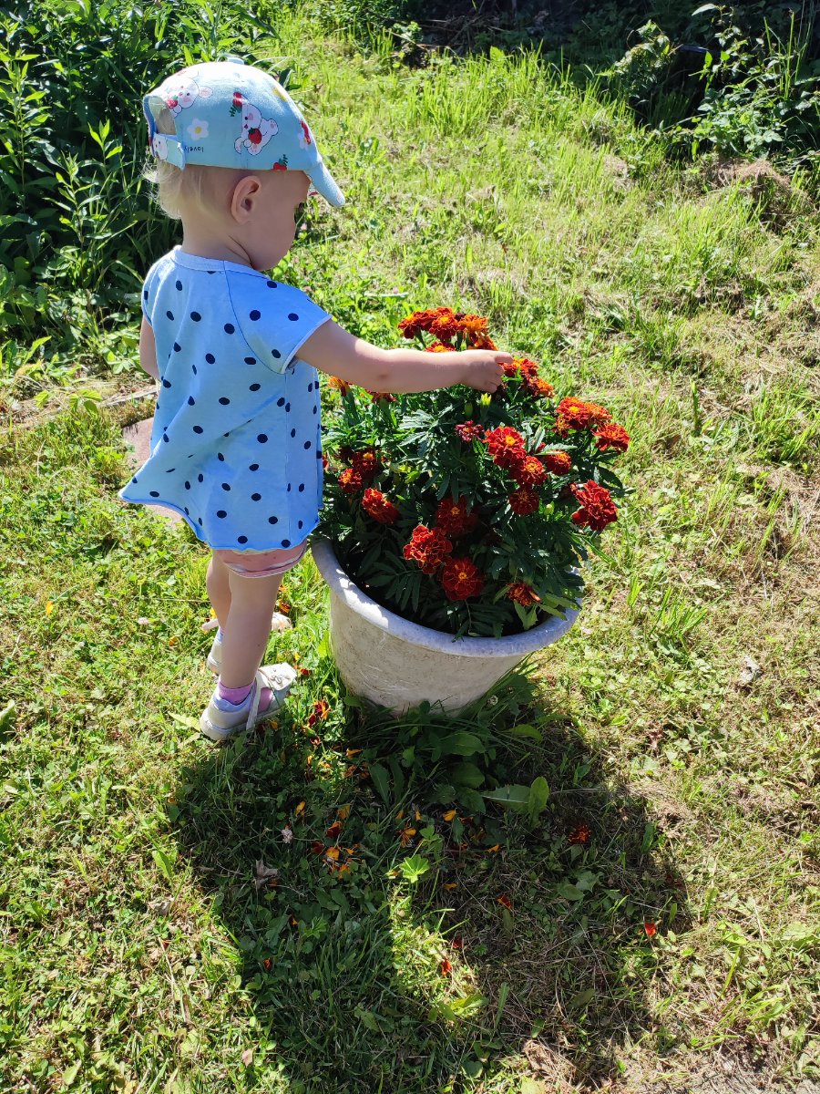 IMG_20260809_121622.jpg