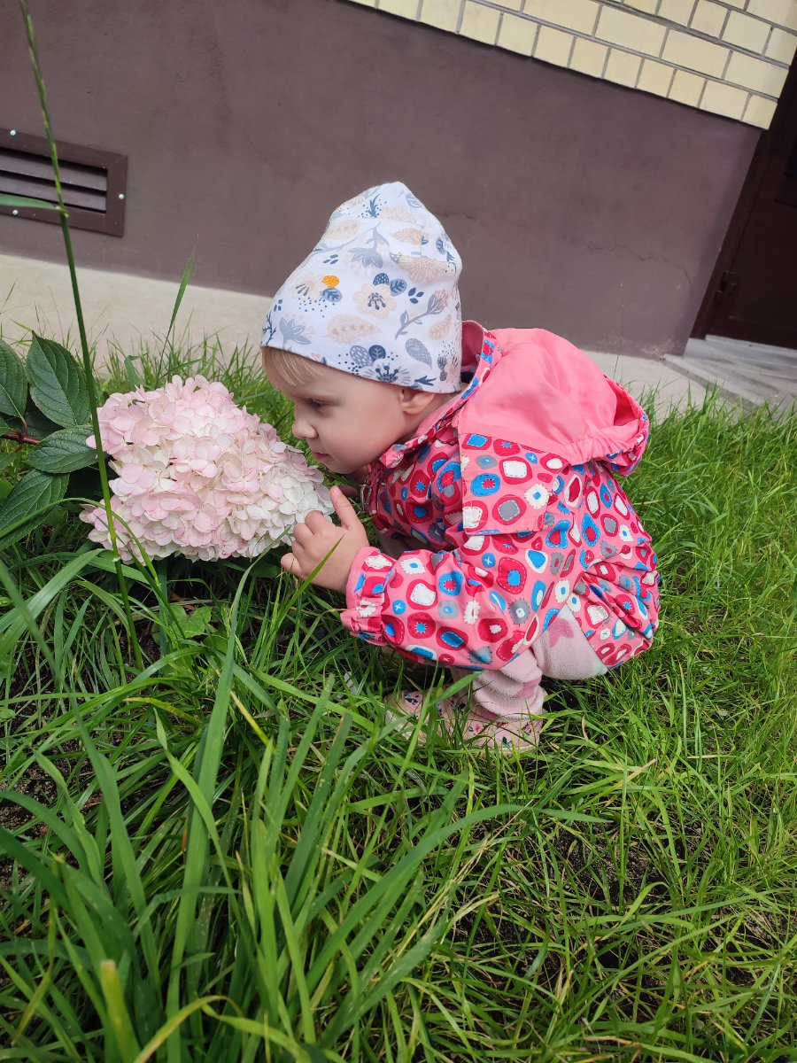 IMG_20260812_130126.jpg