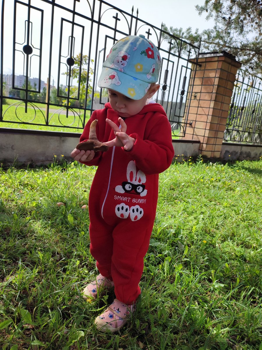 IMG_20260818_130006.jpg
