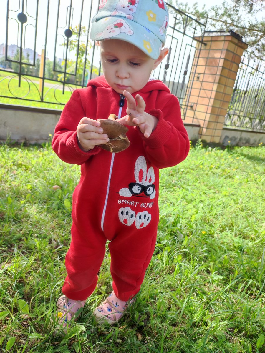 IMG_20260818_130008.jpg