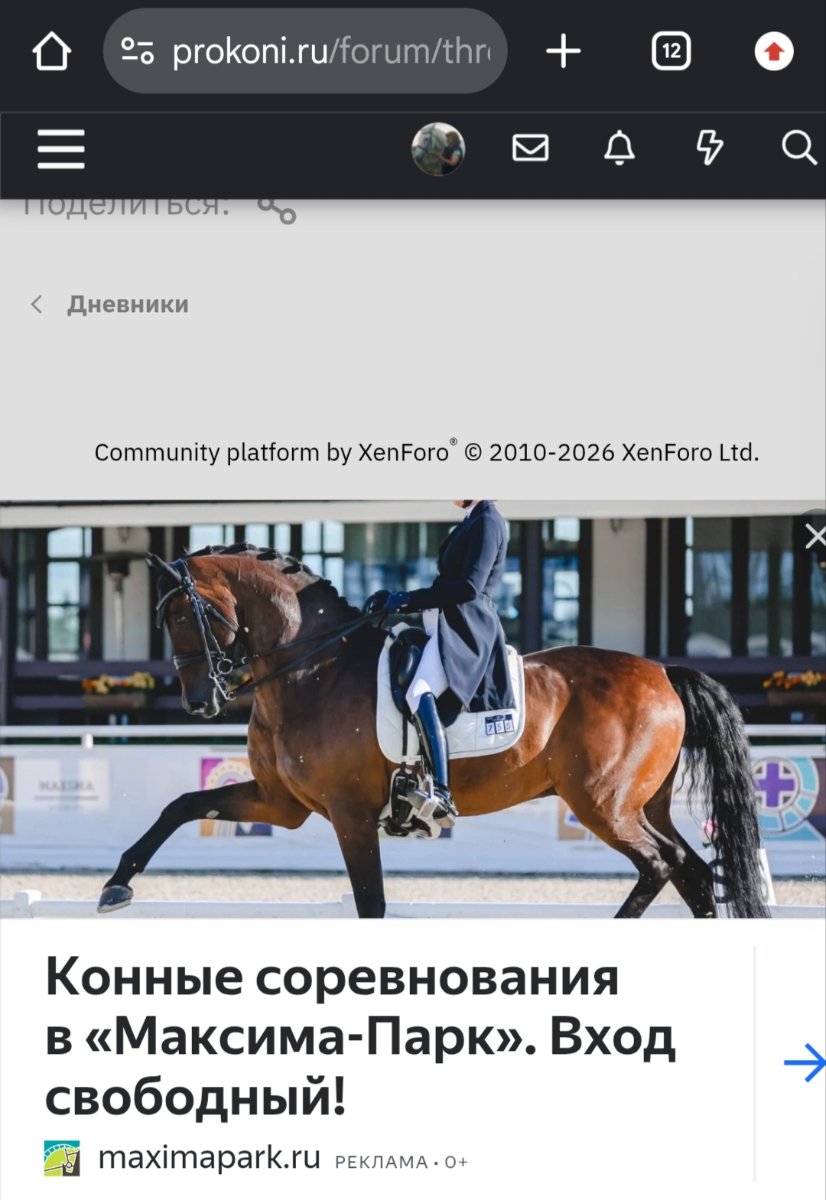 IMG_20260824_000626.jpg
