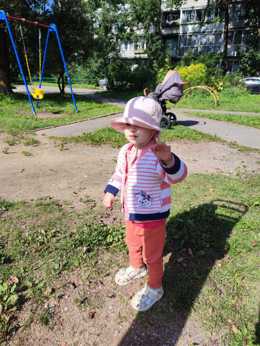 IMG_20260826_135009.jpg