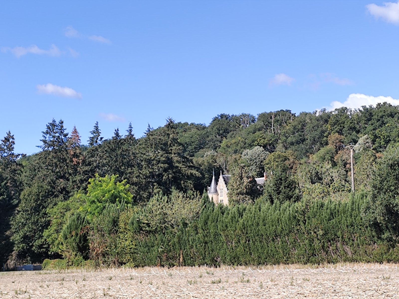 IMG_20260911_113616.jpg