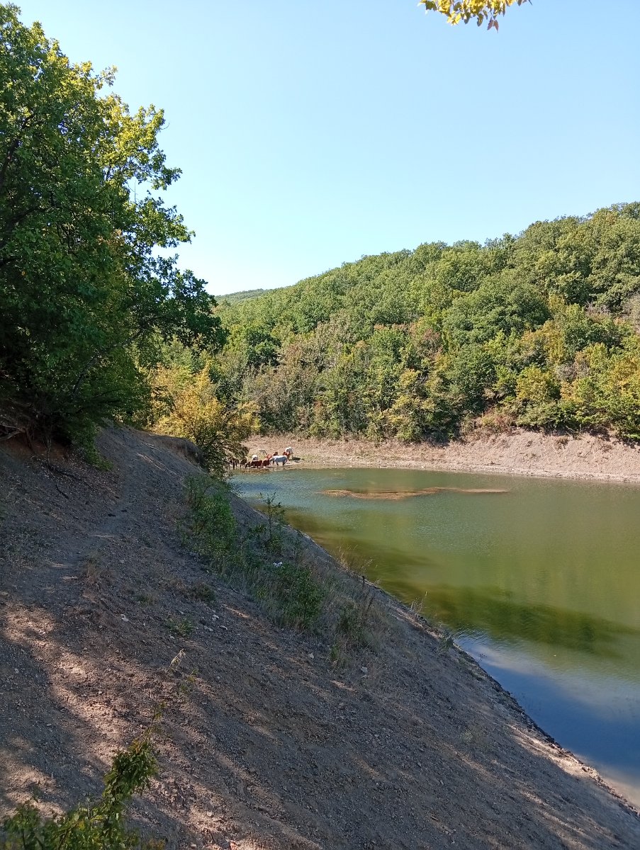 IMG_20260913_114459.jpg