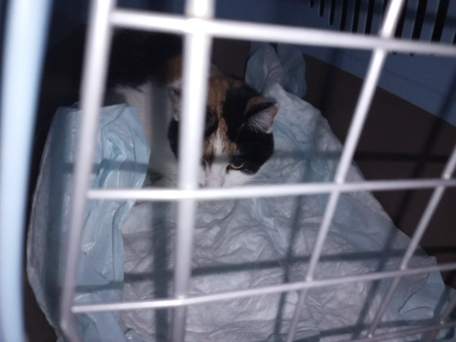 IMG_20260923_224300_698.webp