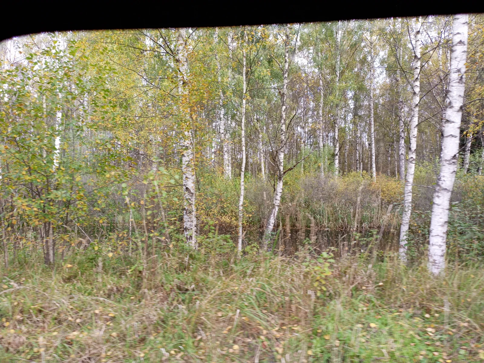 IMG_20260926_105842_949.webp