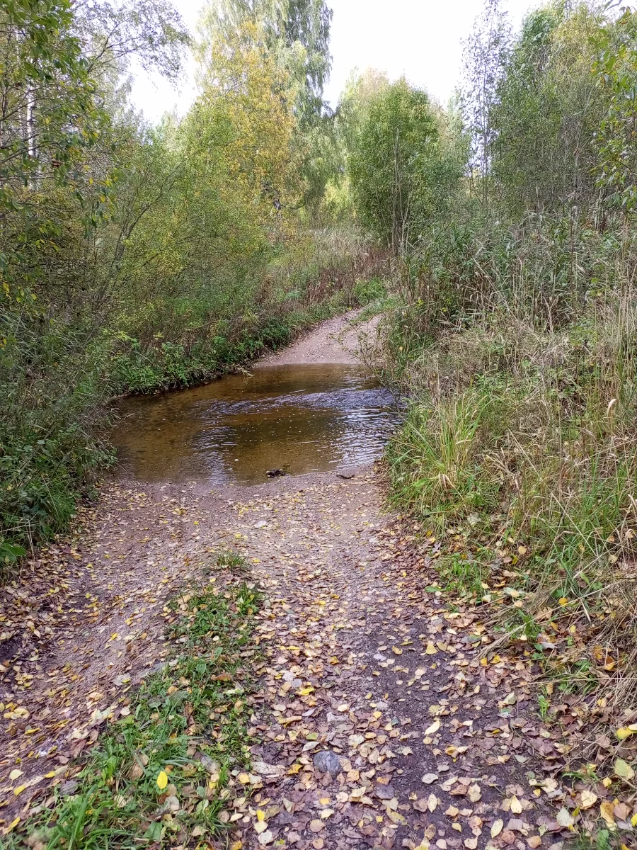 IMG_20260926_110415_640.webp
