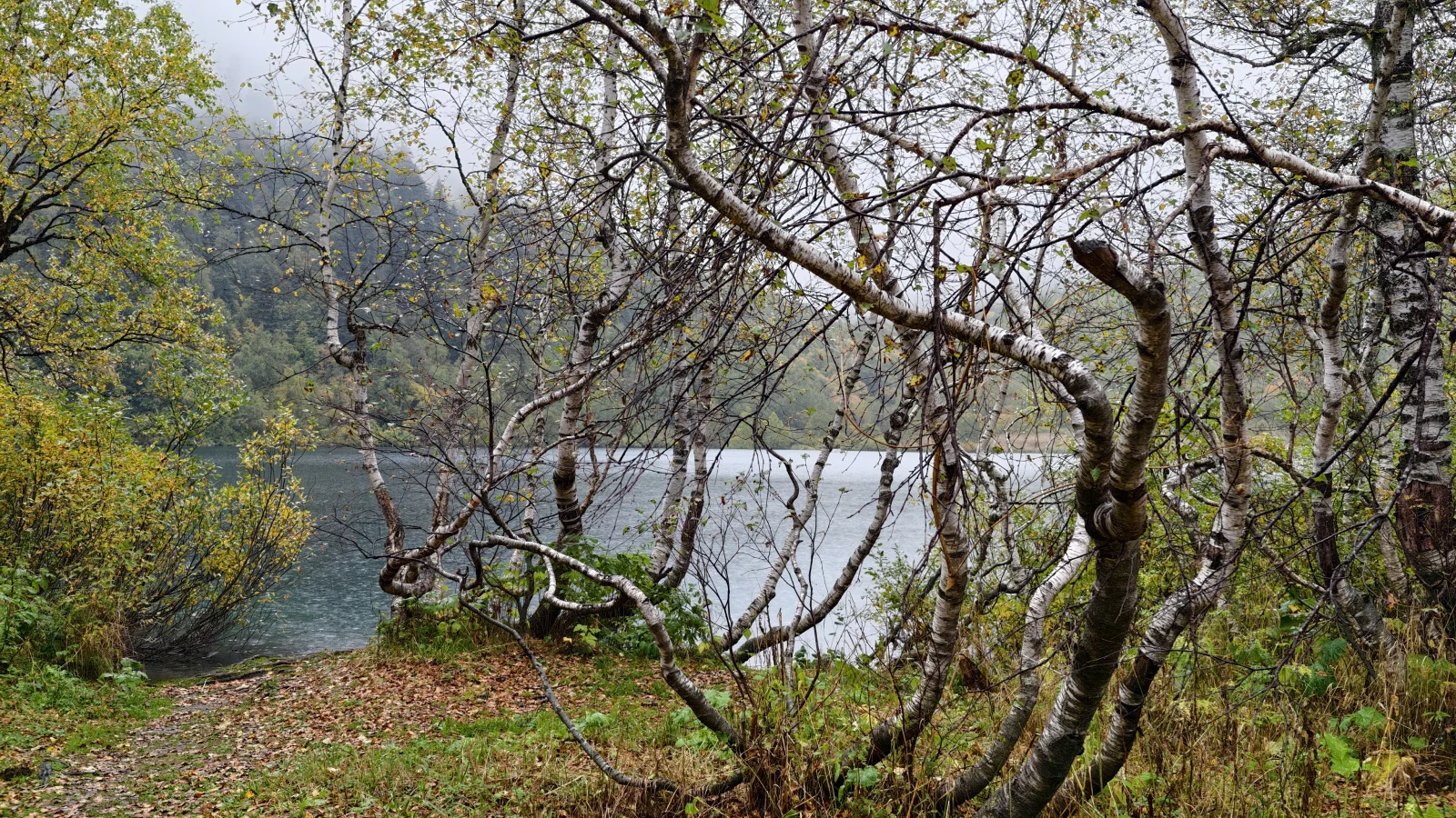 IMG_20260929_145321.webp