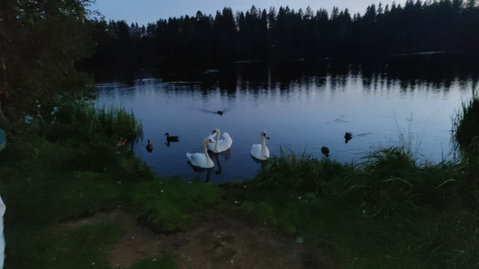 IMG_20260930_191004_858.webp