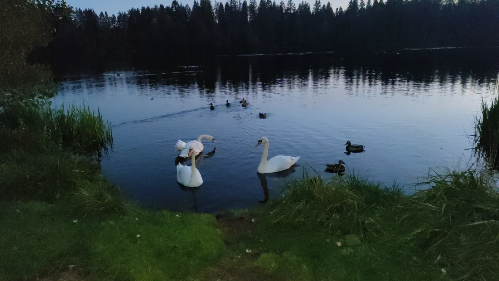 IMG_20260930_191017_532.webp