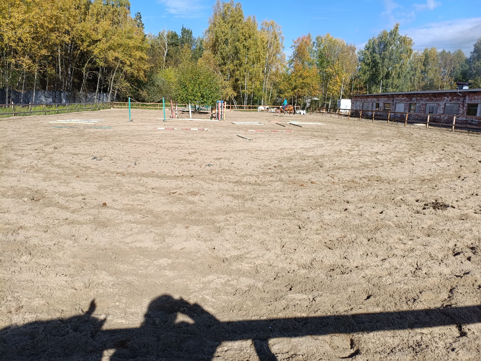 IMG_20261004_115605.webp