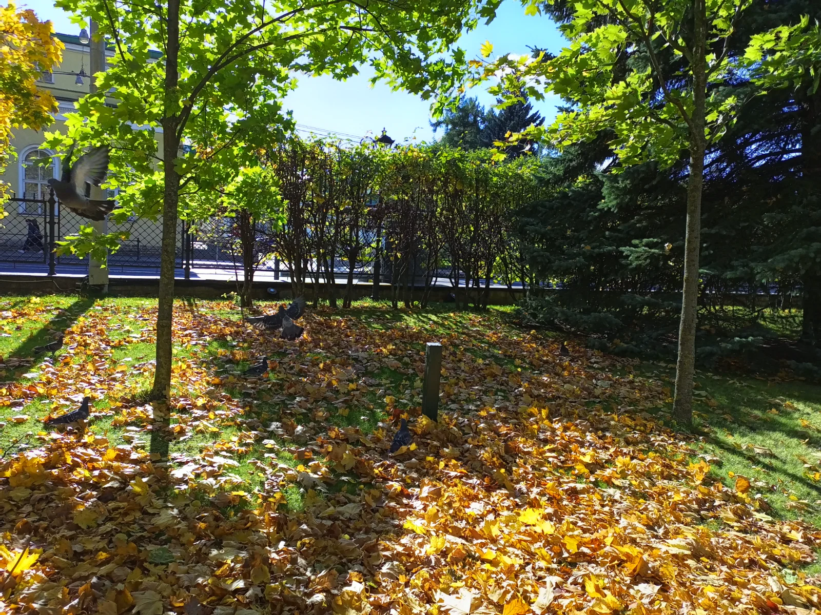 IMG_20261007_131152_848.webp