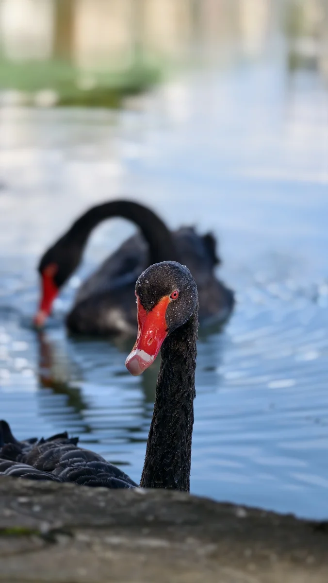 IMG_20261009_142057.webp